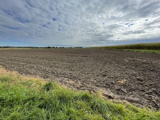 Landwirtschaftliche Fläche