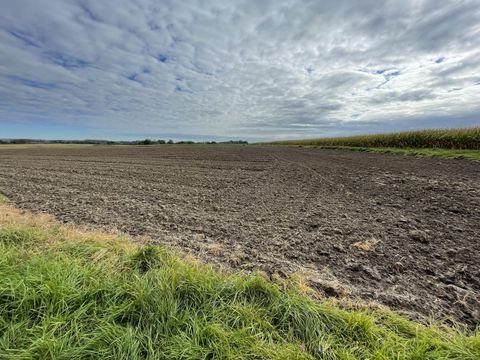 Dülmen Bauernhöfe, Landwirtschaft, Dülmen Forstwirtschaft