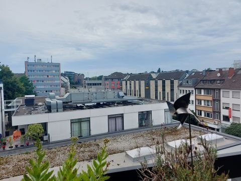 Mönchengladbach Wohnungen, Mönchengladbach Wohnung kaufen