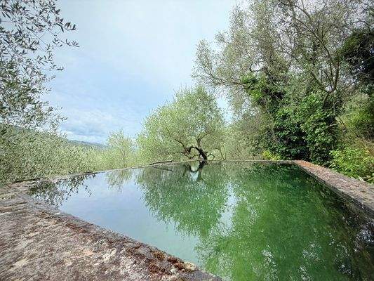 RO984_TERRA ITALIA IMMOBILIEN_REAL ESTATE_LAND_FOR