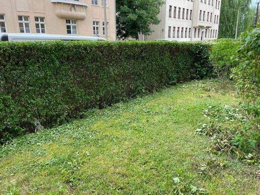 Gepflegte Hecke