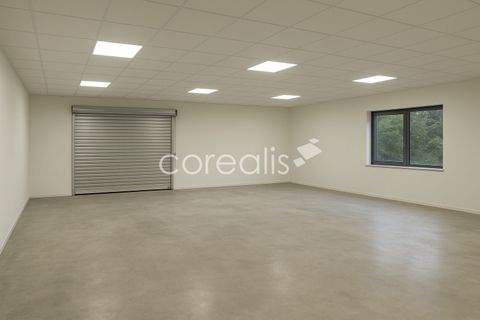 Bochum Halle, Bochum Hallenfläche