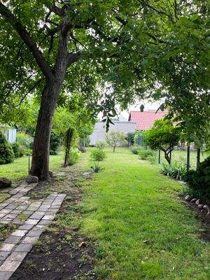 Groß (IMG_6773).jpeg