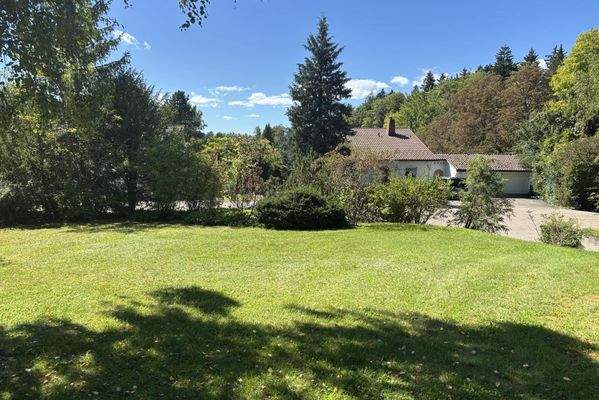 Garten vor dem Haus Richtung Straße