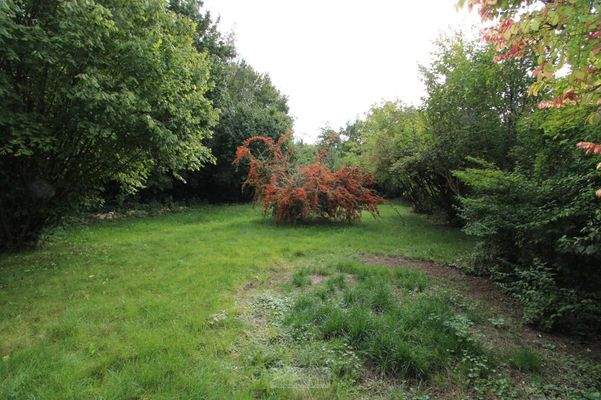 zusätzlicher Garten