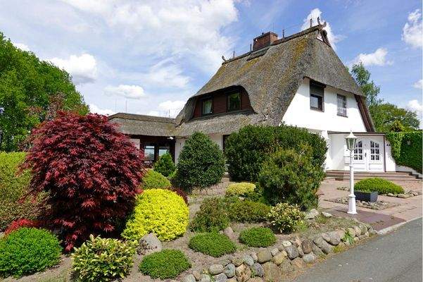 Seitenansicht mit Terrasse und Auffahrt