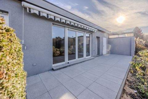 Rodenbach Häuser, Rodenbach Haus kaufen