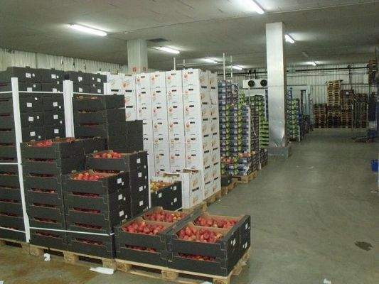 6. Teilansicht Halle A Komissi