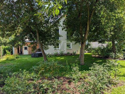 Gartenimpression Sommer I