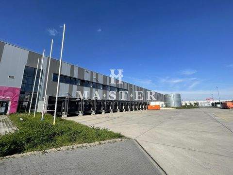 Ulm Halle, Ulm Hallenfläche