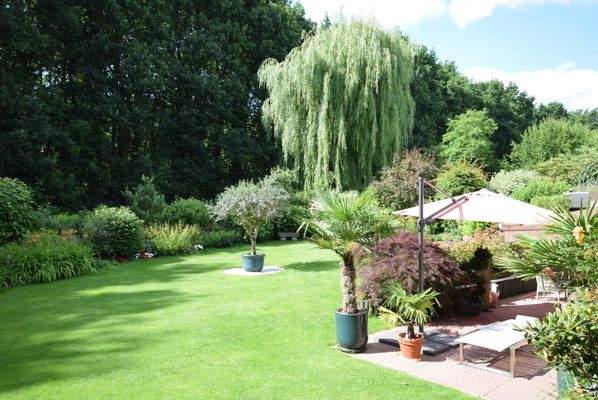 Blick in den Garten in Waldrandlage