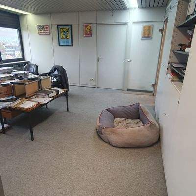 Büro nördlich_1.JPG