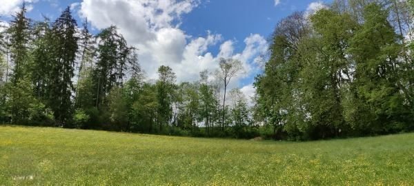 Wohnumfeld