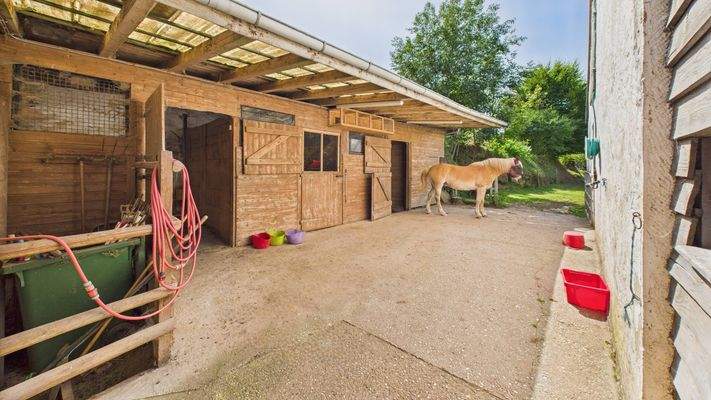 CAM01984G0-PR0509-STILL078