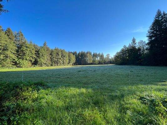 Waldgrundstück in Kirchanschöring 