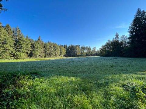 Kirchanschöring Grundstücke, Kirchanschöring Grundstück kaufen