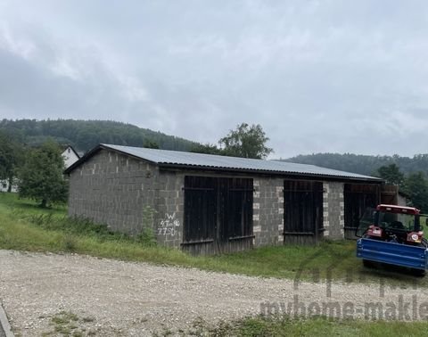 Weigendorf Halle, Weigendorf Hallenfläche