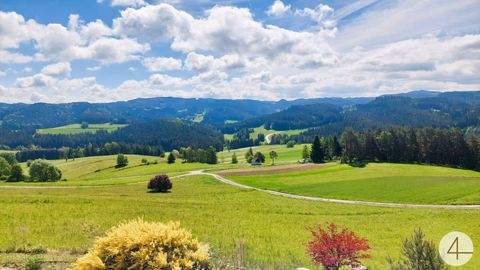 Schönbach Häuser, Schönbach Haus kaufen