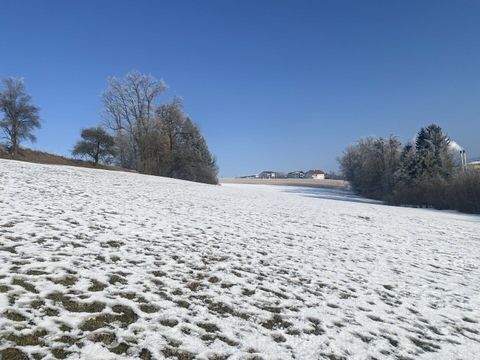 Nußbach Grundstücke, Nußbach Grundstück kaufen