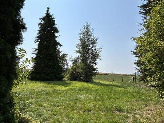 Garten / Grundstück