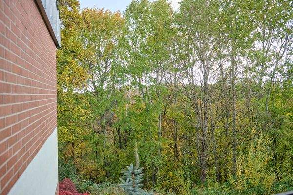 Aussicht in den Hockgraben