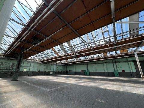 Gevelsberg Halle, Gevelsberg Hallenfläche