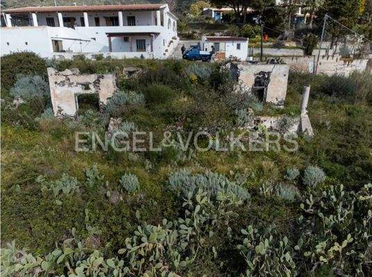 WhatsApp Image 2024-07-17 at 18.08.06 (3).jpg