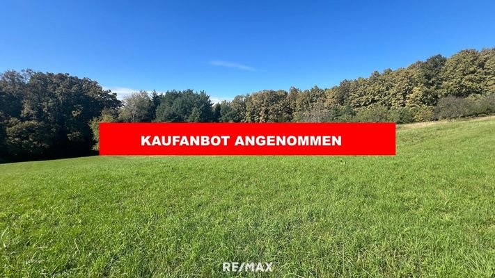 KAUFANBOT ANGENOMMEN