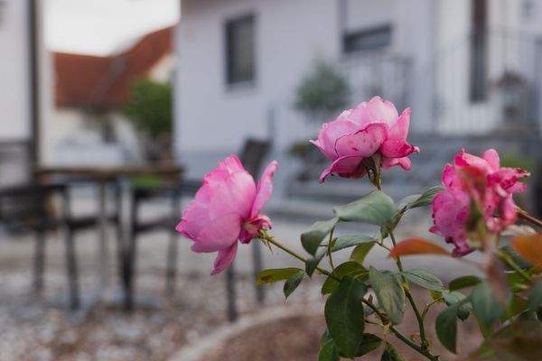 weitere Impressionen