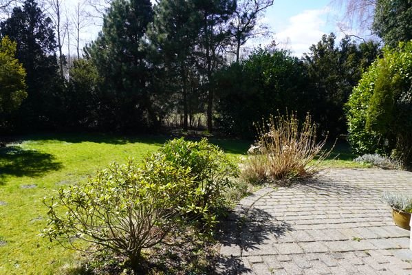 Blick in den Garten.JPG