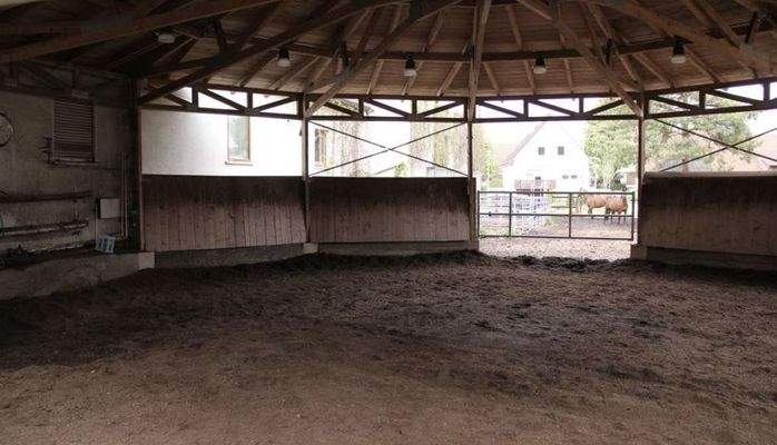 Sicht in die Longierhalle