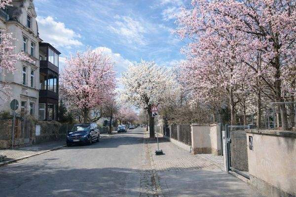 Blick in die ruhige Straße