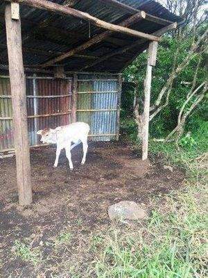 ImmoScout360 Farmland 2,5 Kalb 2