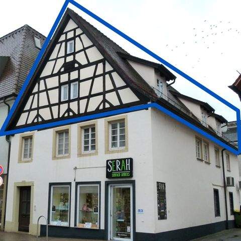 Sinsheim Wohnungen, Sinsheim Wohnung mieten