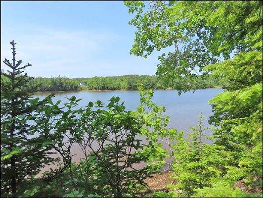 Cape Breton - Cleveland - Wunderschönes Fluss-Ufer