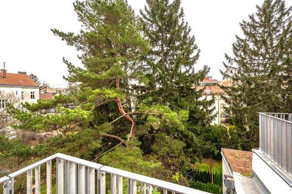 Grünblick auf der ruhigen Gartenseite