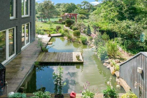 Büroblick auf den Zierteich