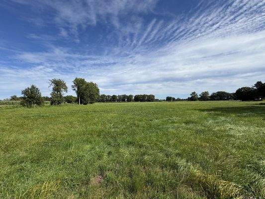 Blick Richtung Wiese