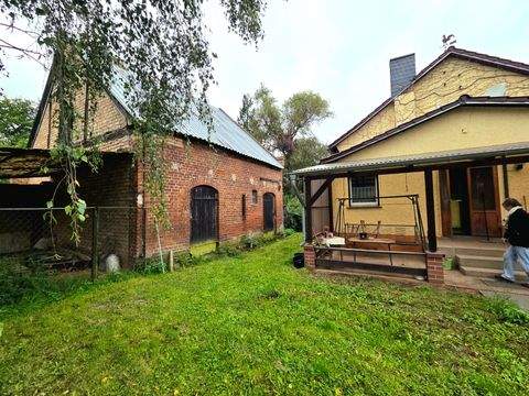 Oderaue Häuser, Oderaue Haus kaufen