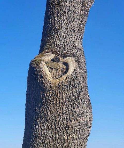 Wangen im Allgäu Häuser, Wangen im Allgäu Haus kaufen