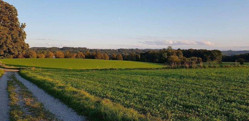 ... vom Haus zum Wald