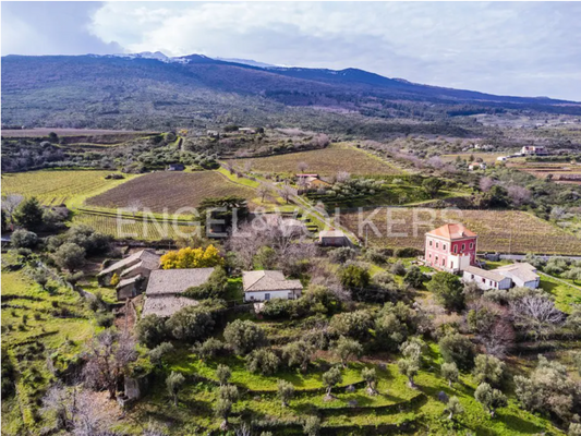 Schermata 2025-03-07 alle 12.05.51.png