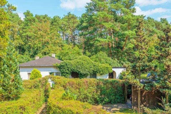 Direkt am Wald – Spaziergänge vor der Haustür