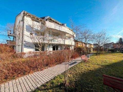 Dresden Wohnungen, Dresden Wohnung kaufen