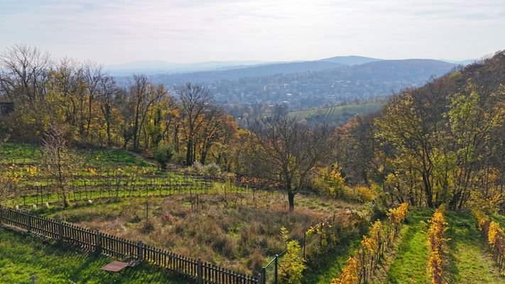 fantastischer Fernblick