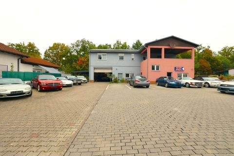 Kaiserlautern Halle, Kaiserlautern Hallenfläche