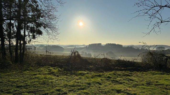 Fernblick vom Grundstück morgens