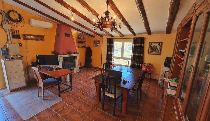 WhatsApp Image 2025-02-12 at 17.32.06 (37).jpeg