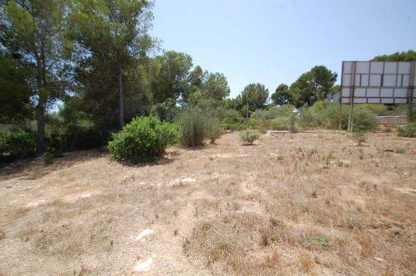 Plots for sale in mallorca
