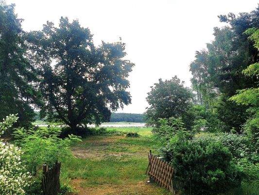 Blick vom Grundstück zum See